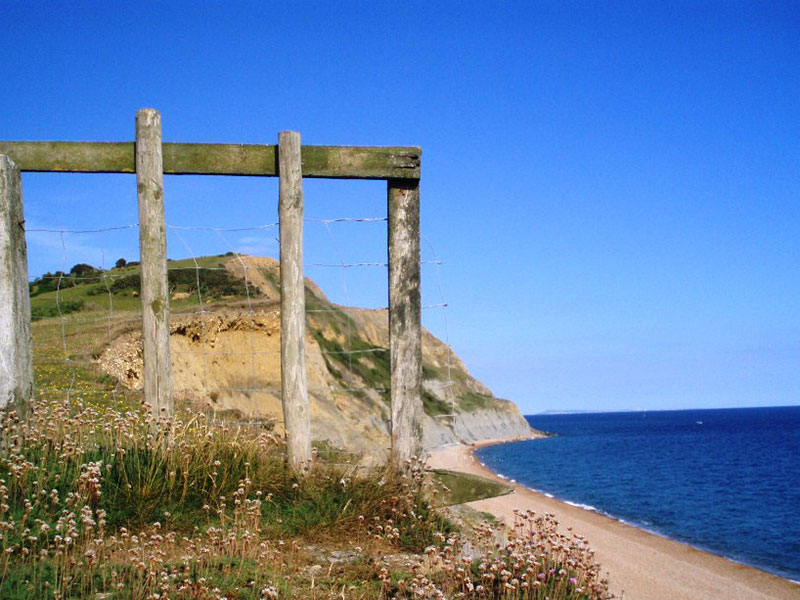 Escape the Crowds: Discover Dorset's Hidden Gems This Summer